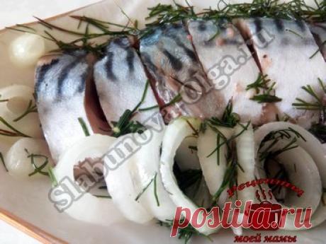 Маринованная скумбрия с укропом Дорогие читатели! Маринованная скумбрия с укропом, простой рецепт для вас. Скумбрия получается изумительной на вкус, все ингредиенты отлично сочетаются, дополняя друг друга, особенно укропчик. Он делает нашу рыбу ароматной и очень-очень вкусной. ИНГРЕДИЕНТЫ: 2 скумбрии 3 головки лука зелень укропа черный молотый перец лавровый лист Для маринада: 300 мл воды 1 ст. ложка сахара 3 …
