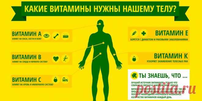 Лучшие поливитаминные комплексы для пожилого человека