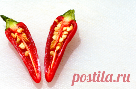 Супер метод для быстрого прорастания любых семян | Cчастливый дачник | Яндекс Дзен