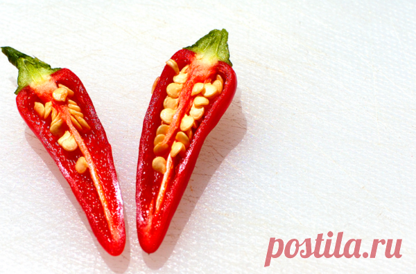 Супер метод для быстрого прорастания любых семян | Cчастливый дачник | Яндекс Дзен