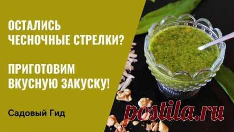 Садовый гид Лариса Зарубина | "ДЖЕМ" ИЗ ЧЕСНОЧНЫХ СТРЕЛОК! ЭТО НЕВЕРОЯТНО ВКУСНО!