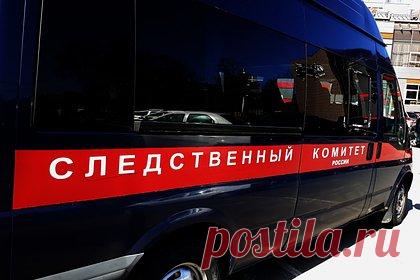 Россиянин разозлился на взявшую его карту жену и убил ее двумя ударами топора. В Пензенской области 62-летний местный житель признался в убийстве 63-летней жены. По данным следствия, в сентябре этого года россиянин, находясь у себя дома в Бессоновском районе, попросил супругу вернуть ему деньги и карту, которые та взяла без разрешения. Женщина отказалась. Тогда ее муж взял топор.