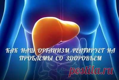 КАК НАШ ОРГАНИЗМ РЕАГИРУЕТ НА ПРОБЛЕМЫ СО ЗДОРОВЬЕМ?  Потрескавшиеся губы, белый налет на языке...