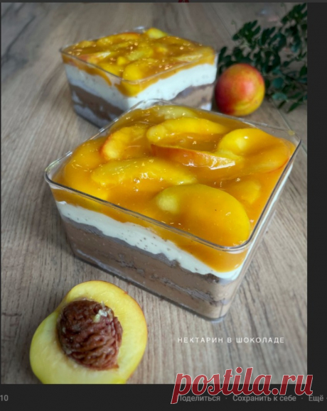 Скриншот-23-10-2025 08:04:25.jpg