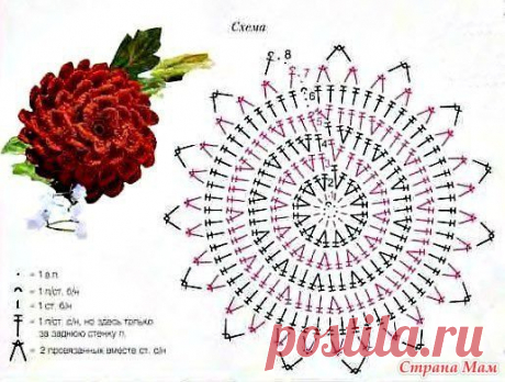 Георгины (схемы и описание) - Все в ажуре... (вязание крючком) - Страна Мам