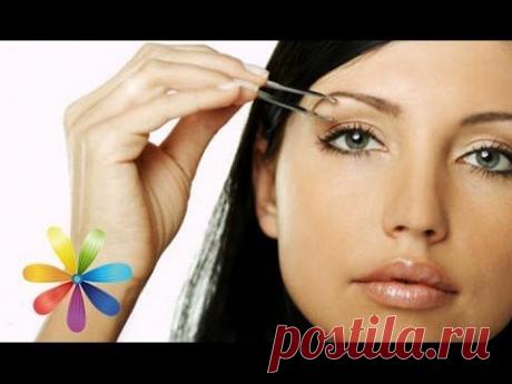 Корректируем форму бровей - Все буде добре - Выпуск 579 - 08.04.15