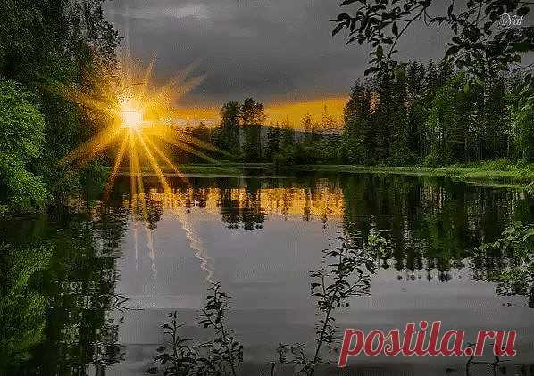 Одноклассники     Природа - лучший лекарь: молча выслушает, исцелит душу, подарит радость....и не выдаст вашу тайну никому...