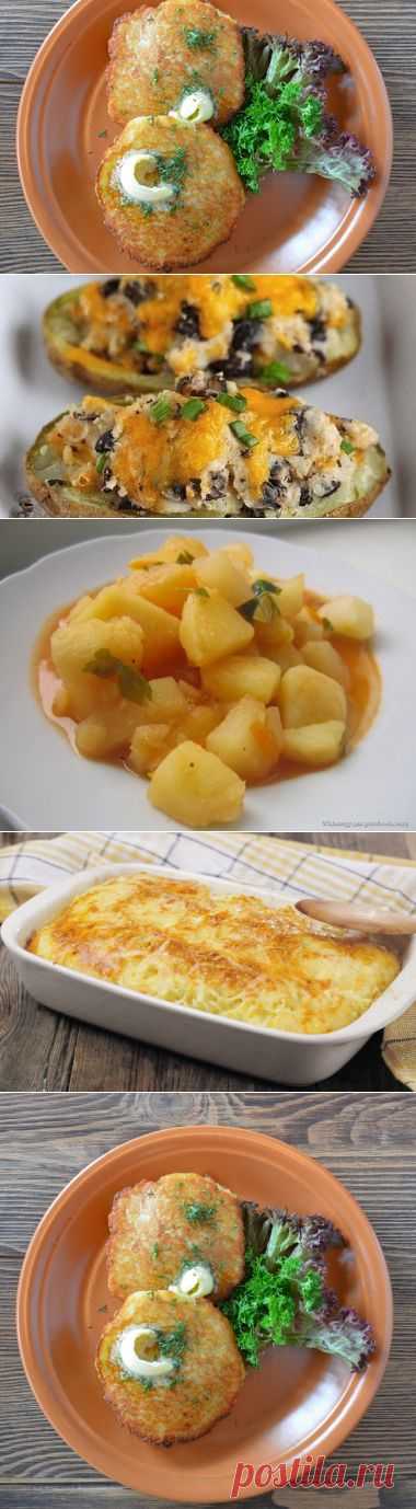 Антикризисные рецепты блюд из картофеля: французский жюльен и белорусские колдуны