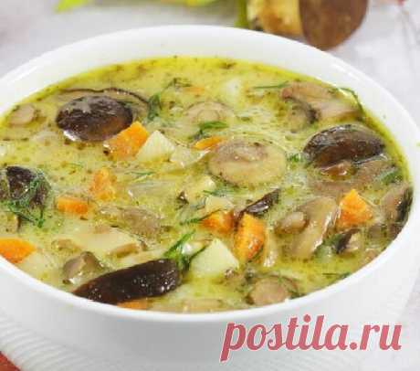 Лучше борща! Вкусный грибной суп за полчаса | Мама Люба | Дзен
