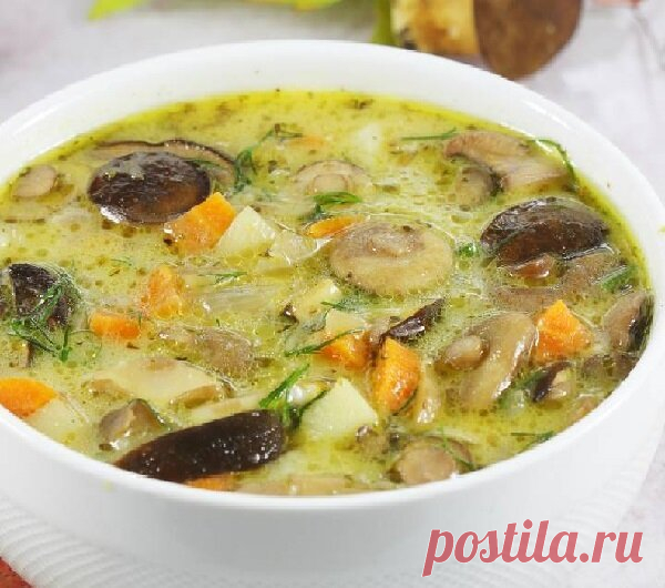 Лучше борща! Вкусный грибной суп за полчаса | Мама Люба | Дзен