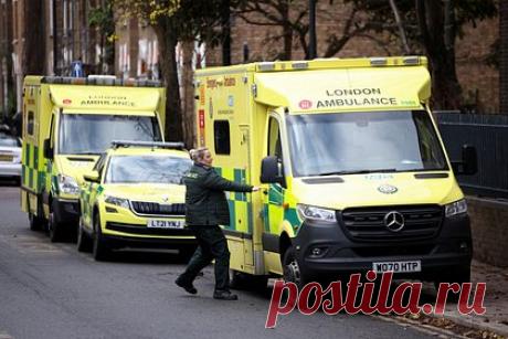 Тело матери-одиночки нашли благодаря беспокойству ее друзей по онлайн-игре. Жительница Великобритании, которая регулярно играла в онлайн-игру Evony: The Kings Return, два дня не выходила на связь с другими геймерами. Друзья женщины обеспокоились из-за ее длительного отсутствия и обратились в полицию. Британку нашли мертвой в собственном доме. Причина ее смерти устанавливается.