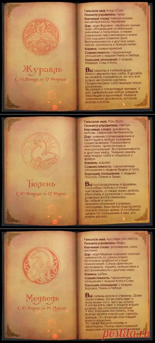 Еще одна версия гороскопа, на этот раз — кельтская | Гороскоп