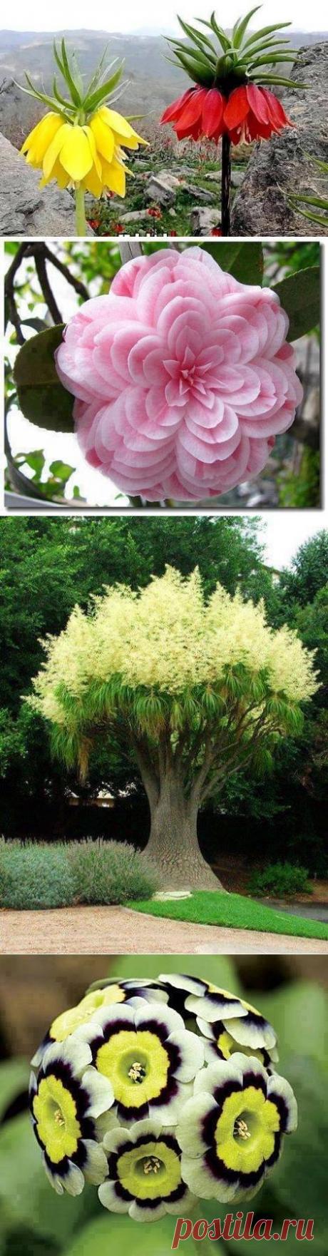 Одноклассники