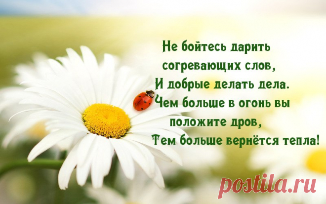 Притча о силе прощения.