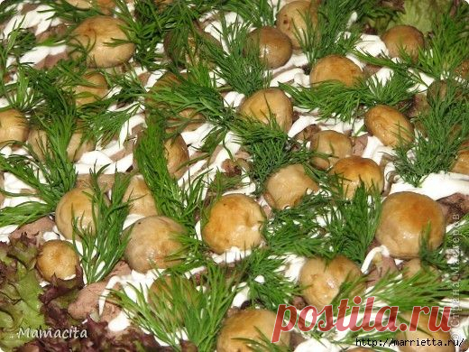 Дневник Агата47