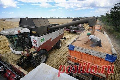 В России оценили ход уборочной кампании