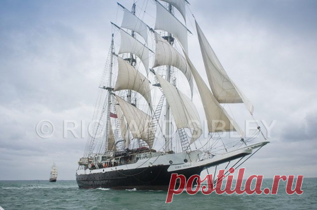 Альбом 14 «Галерея 15« Tall Ship расы