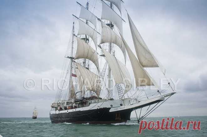 Альбом 14 «Галерея 15« Tall Ship расы