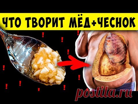 Вот что Чеснок с Медом Натощак сделают с вами, если Есть их Каждый день