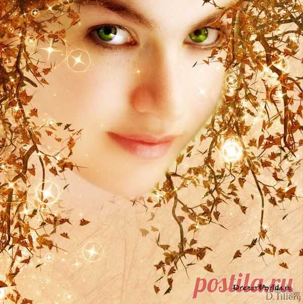 Картинки для декупажа / Декупаж / Картинки для декупажа
