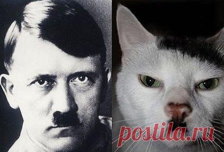 Одноклассники