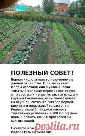 (46) Одноклассники   ВОЗЬМИТЕ НА ЗАМЕТКУ, ЛЕТОМ ПРИГОДИТЬСЯ!