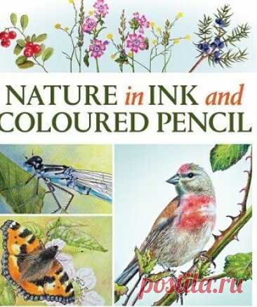 Nature in Ink and Coloured Pencil 2025