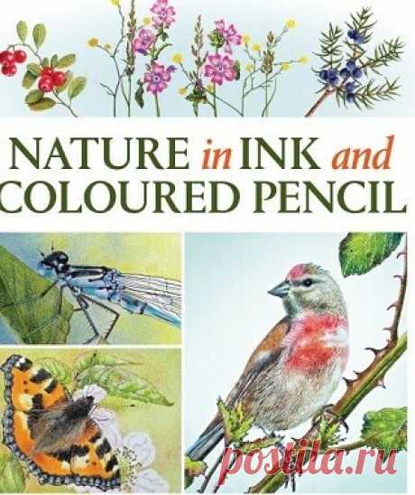 Nature in Ink and Coloured Pencil 2025
