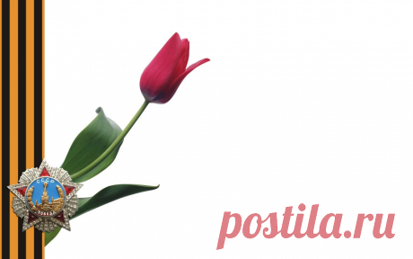 Download wallpaper victory day, st. george ribbon, order, tulip, holidays resolution 1280x800