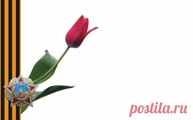 Download wallpaper victory day, st. george ribbon, order, tulip, holidays resolution 1280x800