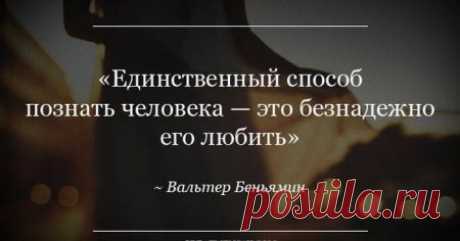 Цитаты, умные мысли / Pinme
