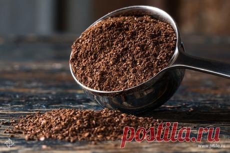 Кофейный вопрос: разбираемся в тонкостях обжарки и вкуса вместе с экспертами | Высоцкая Life