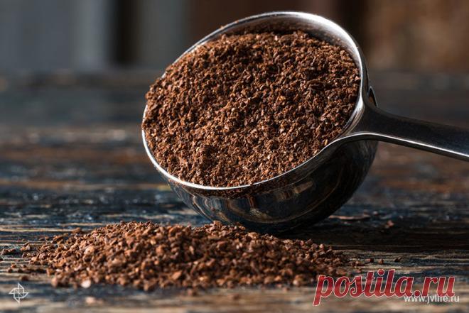 Кофейный вопрос: разбираемся в тонкостях обжарки и вкуса вместе с экспертами | Высоцкая Life