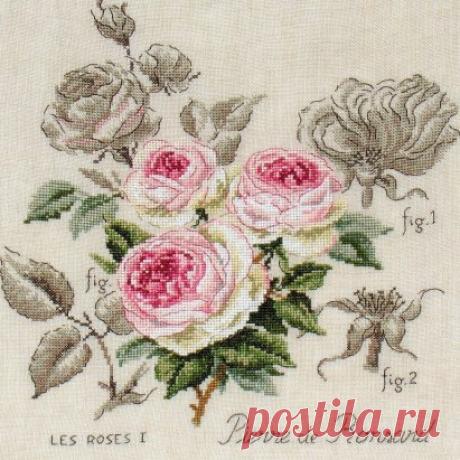 (53) Одноклассники