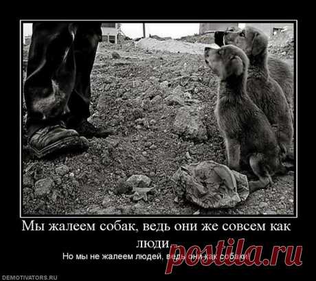 Вот так и живем | Обхохочешься