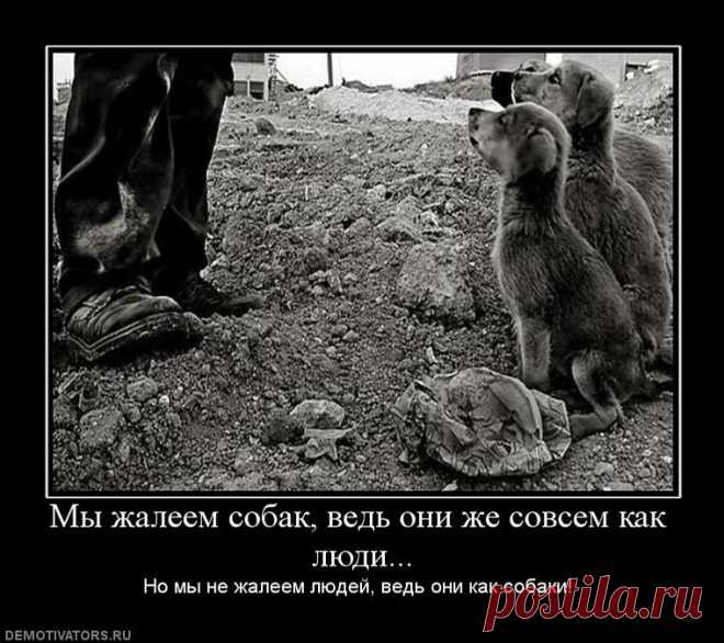 Вот так и живем | Обхохочешься