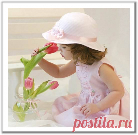 Любители красивых картинок ;) В Кругу Друзей — социальная сеть