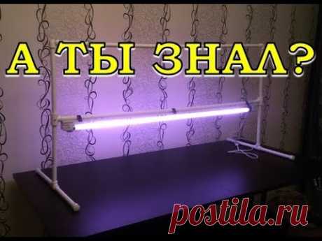 п