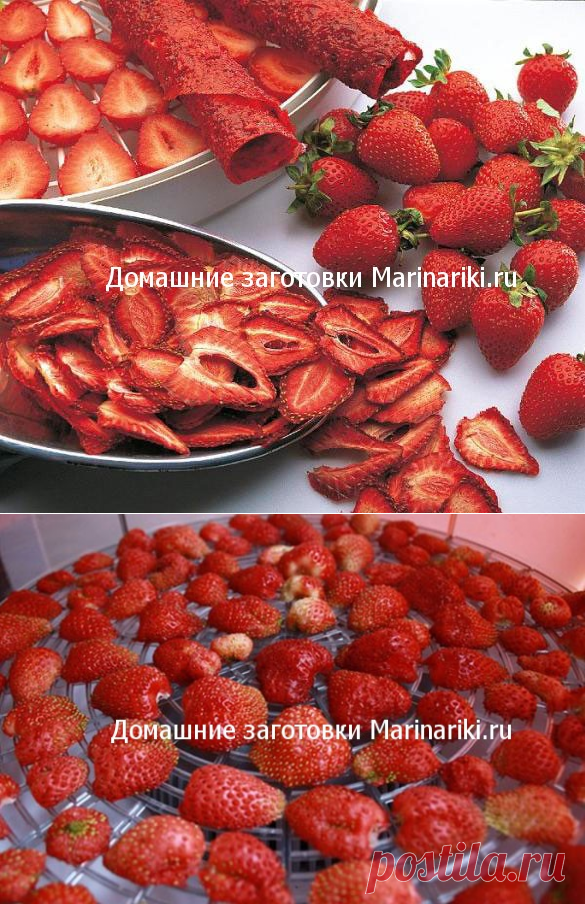 Как сушить клубнику свежую правильно
