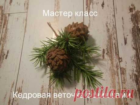 "Кедровая веточка с шишками"