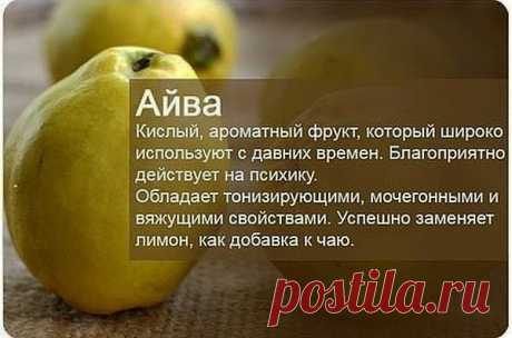 Польза фруктов для нашего организма.