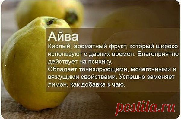 Польза фруктов для нашего организма.
