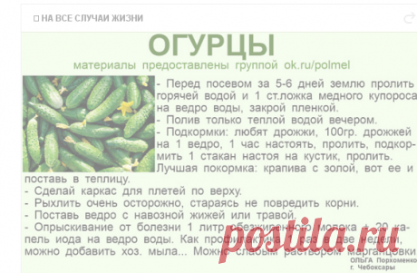 (56) Одноклассники