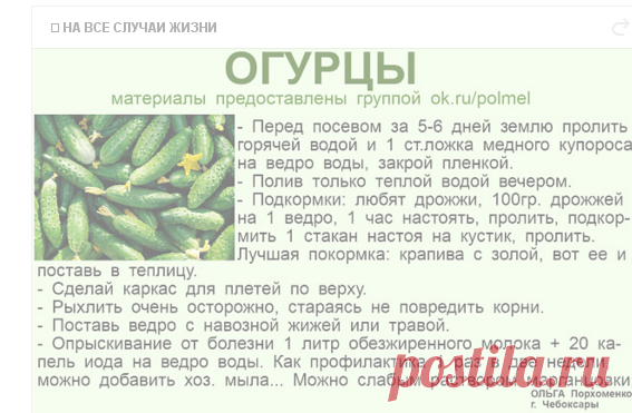 (56) Одноклассники