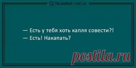 Анекдоты на вечер 16 марта для поднятия вашего настроения - Новости Телеграф