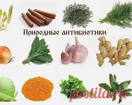 ПРИРОДНЫЕ АНТИБИОТИКИ.