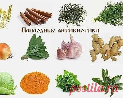 ПРИРОДНЫЕ АНТИБИОТИКИ.
