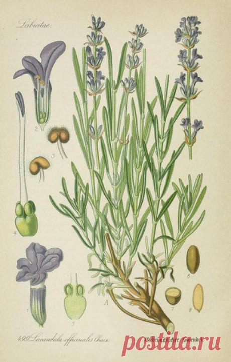 ~ MON PLAISIR ~ Вещи для души. Винтаж,Прованс.