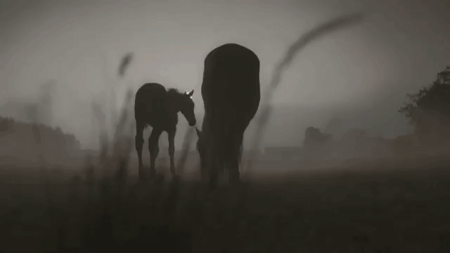 ღ