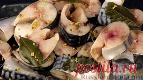 Рецепт: Малосольная скумбрия пряного посола на RussianFood.com